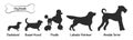 Dog breeds vector silhouettes black Royalty Free Stock Photo